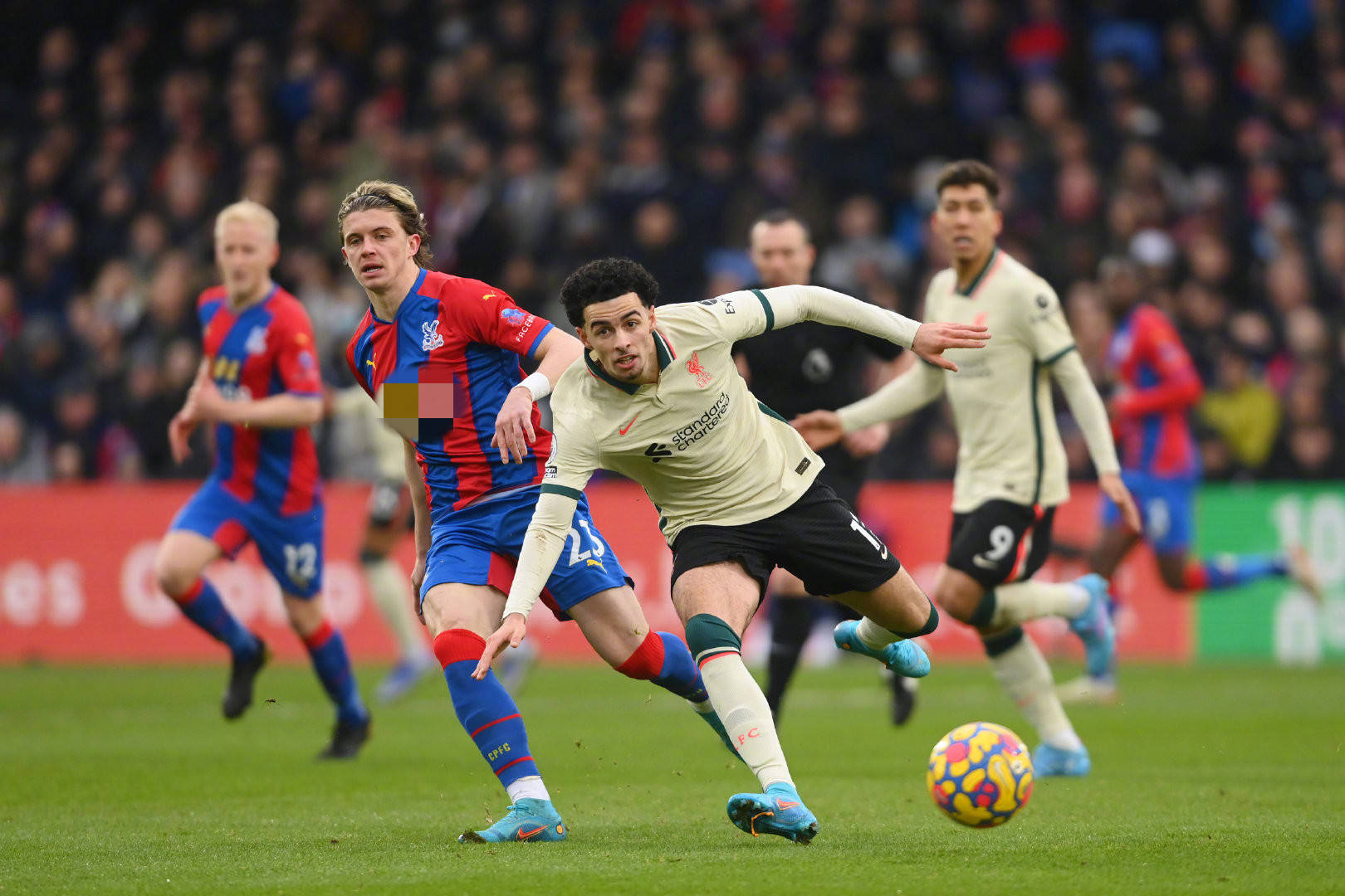 库明加的未 库明加的未